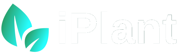iPlant
